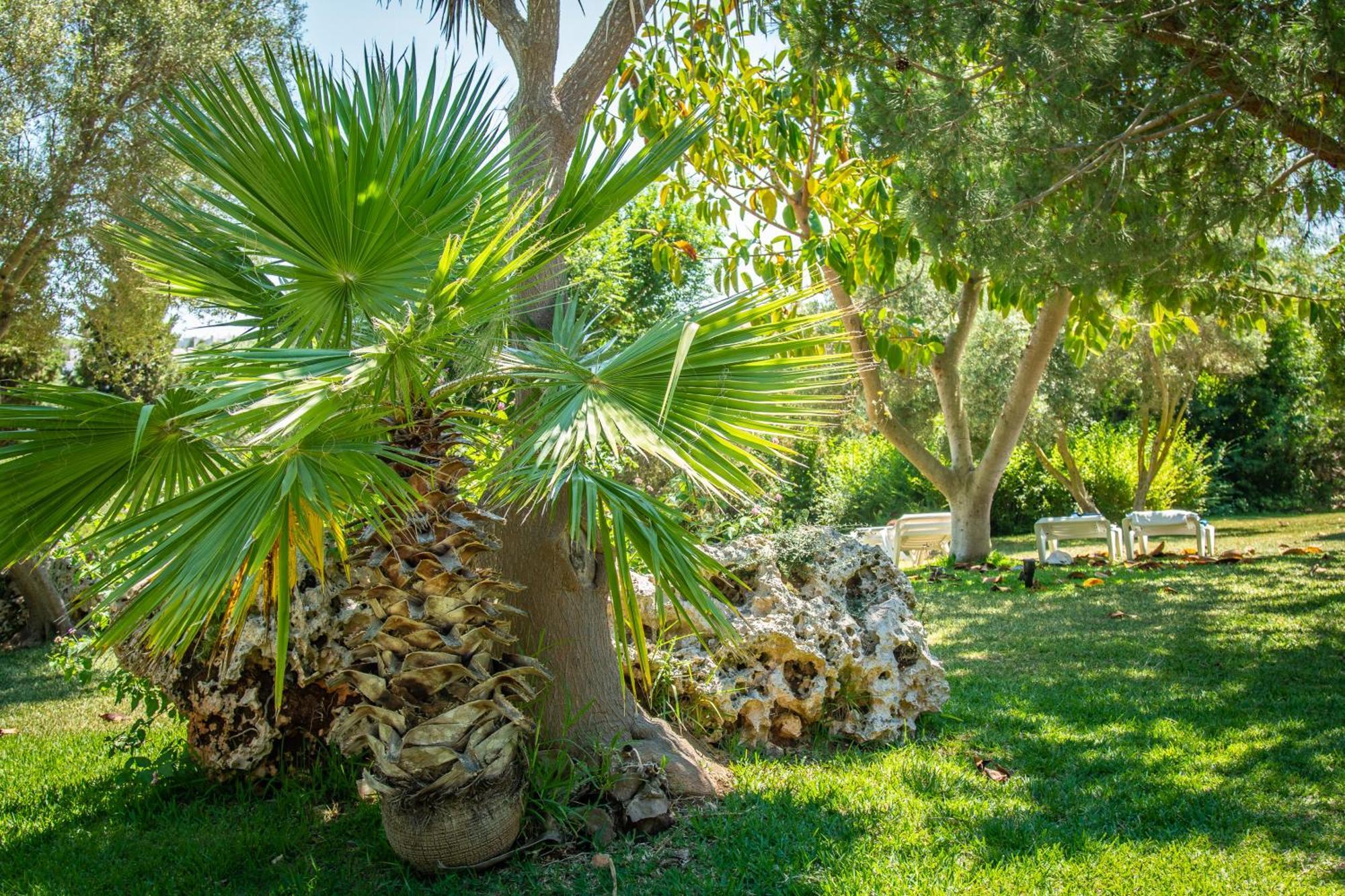 Hotel Club Cala Romani Calas de Mallorca Buitenkant foto